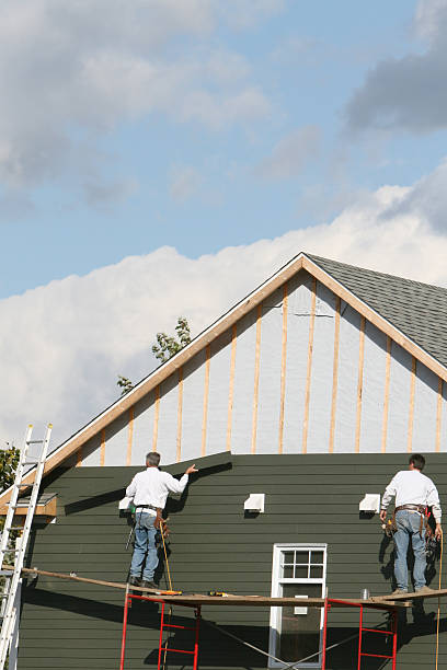 Best Residential Vinyl Siding Installation  in Linthicum, MD