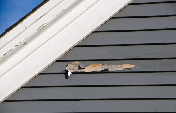 Best Residential Vinyl Siding Installation  in Linthicum, MD